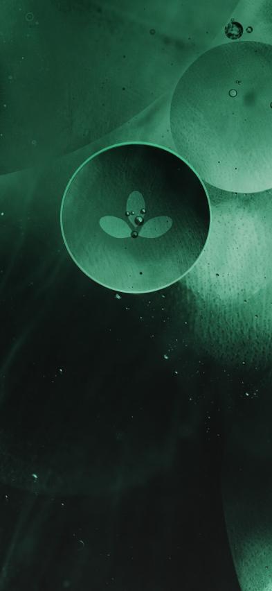 Abstract green cellular texture