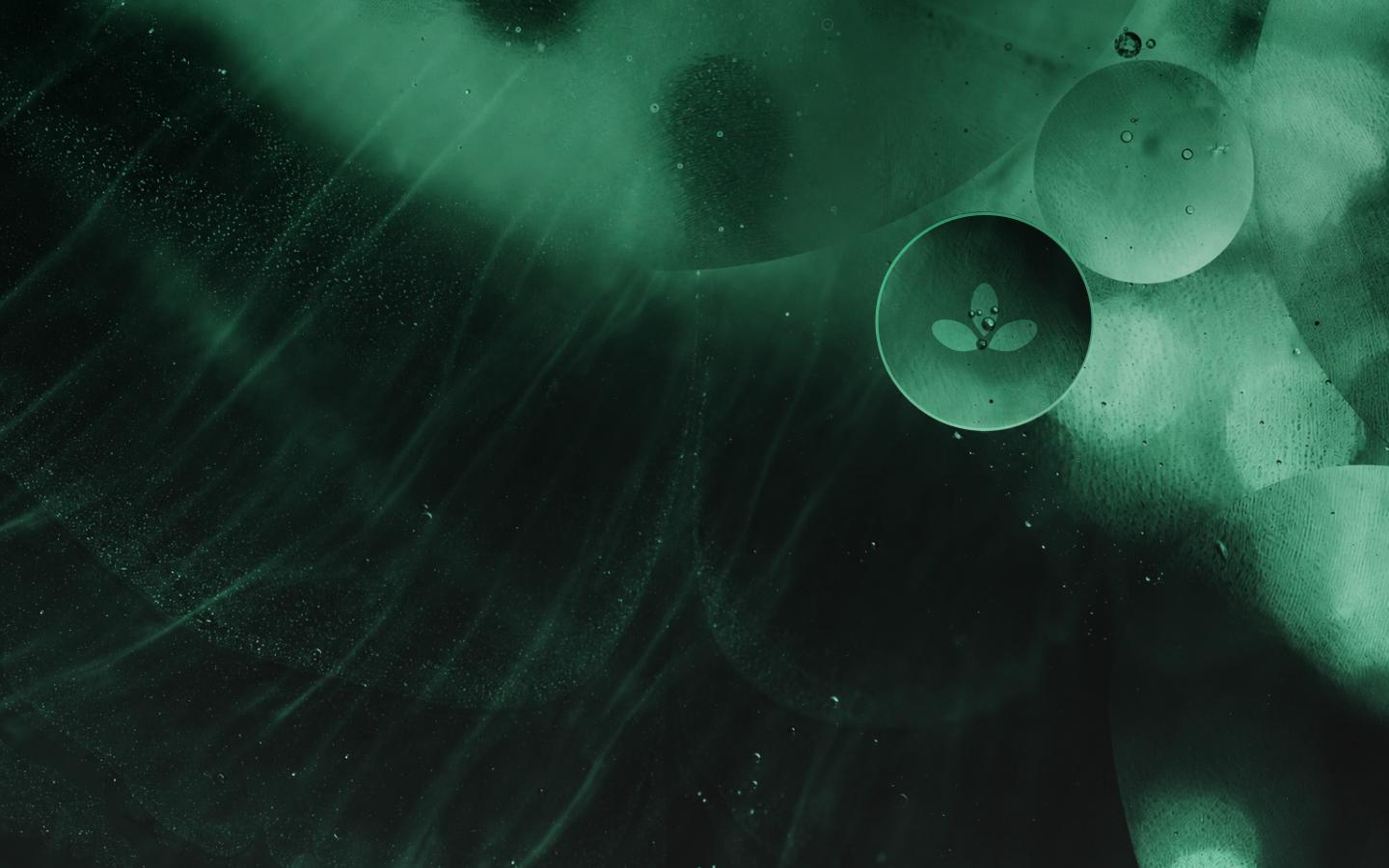 Abstract green cellular texture