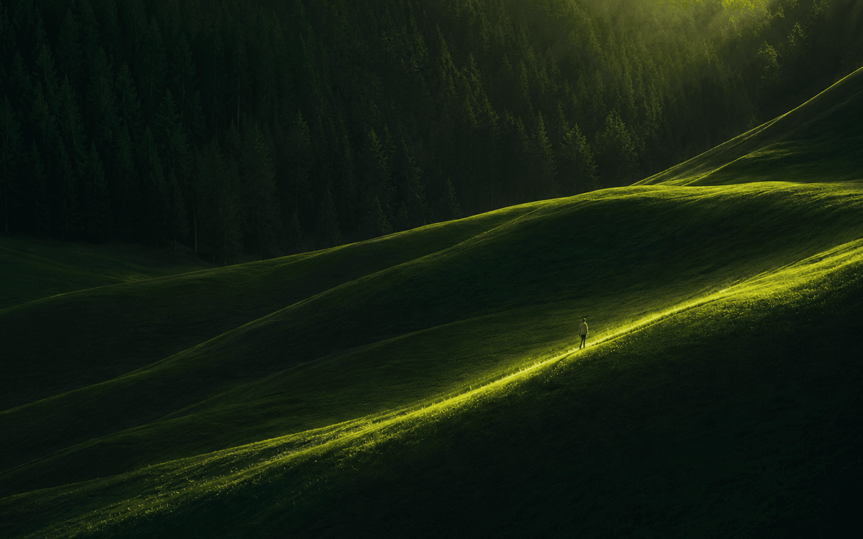 A person walking a sunlit path through rolling green hills